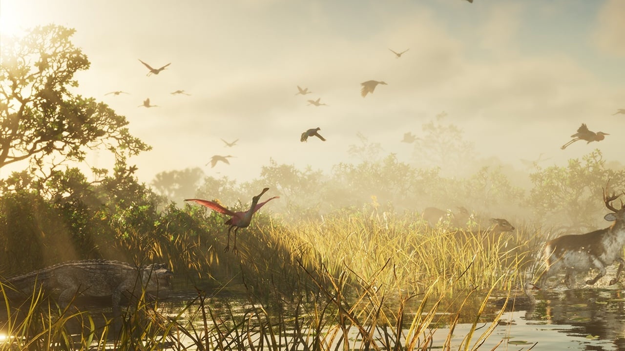 Roseate spoonbill with open wings over wetland grass at dawn