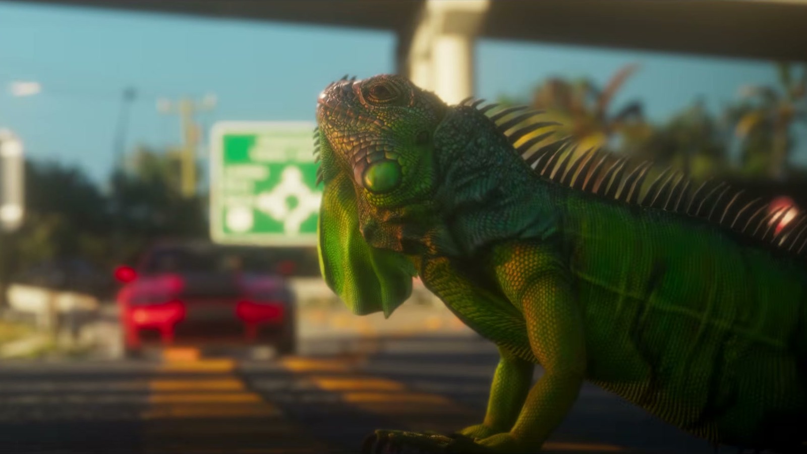 Close-up of a green iguana at the roadside with a blurred red car behind.